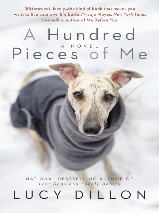 Title details for A Hundred Pieces of Me by Lucy Dillon - Wait list